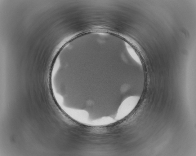 X0000110991333200907311002