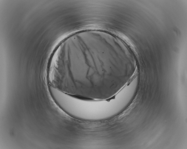 X0000110991334200907311002