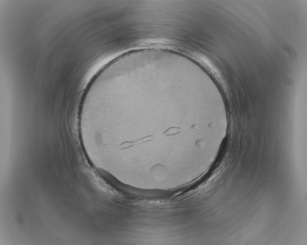 X0000110991336200907311002