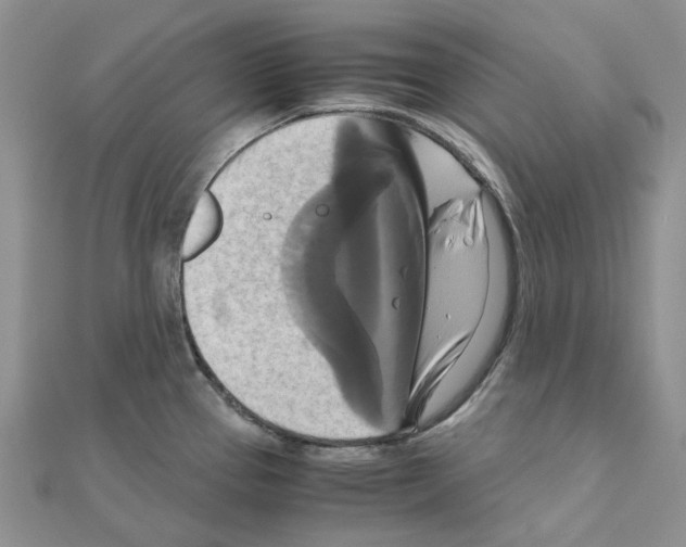 X0000110991337200907311002