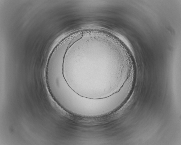 X0000110991338200907311002