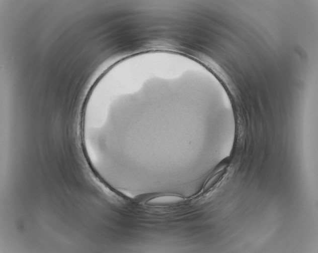 X0000110991339200907311002