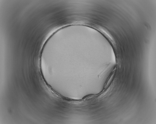 X0000110991340200907311002