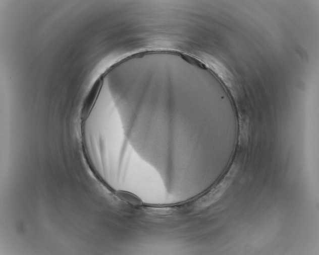 X0000110991342200907311002