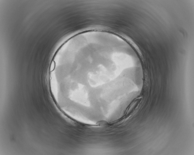 X0000110991343200907311002