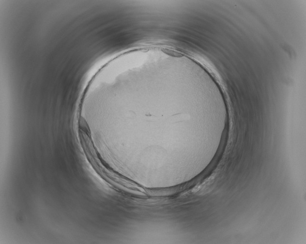 X0000110991344200907311002