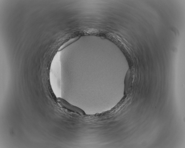 X0000110991345200907311001
