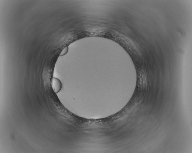 X0000110991346200907311001