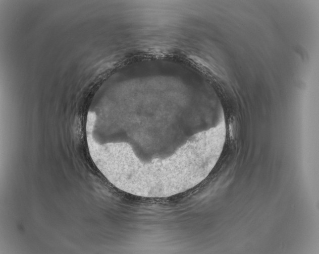 X0000110991347200907311001