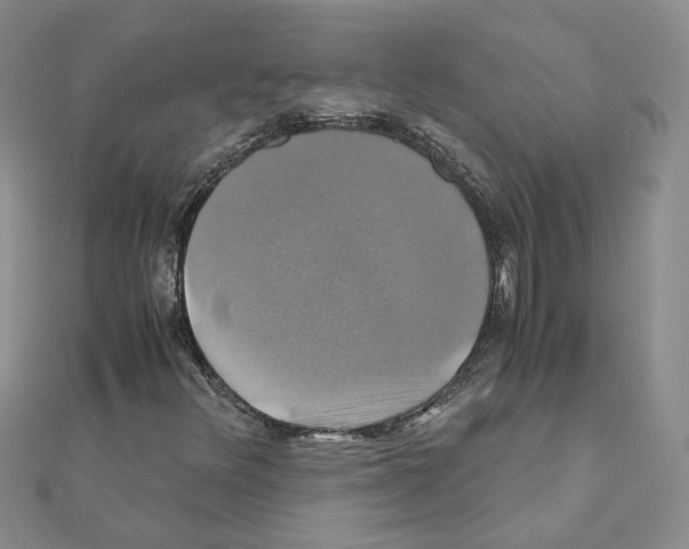 X0000110991348200907311001