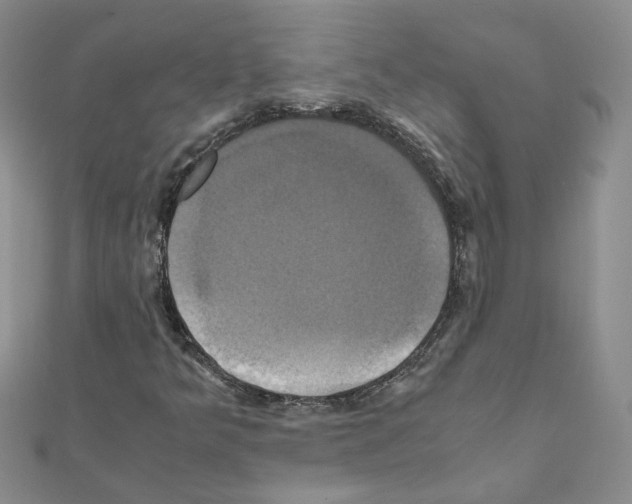 X0000110991349200907311001