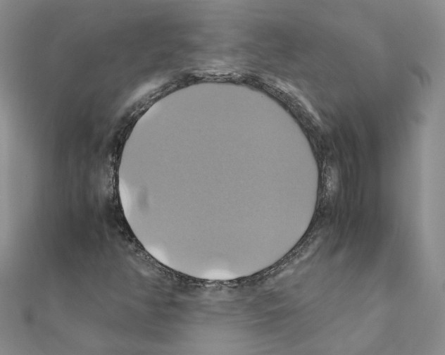 X0000110991350200907311001