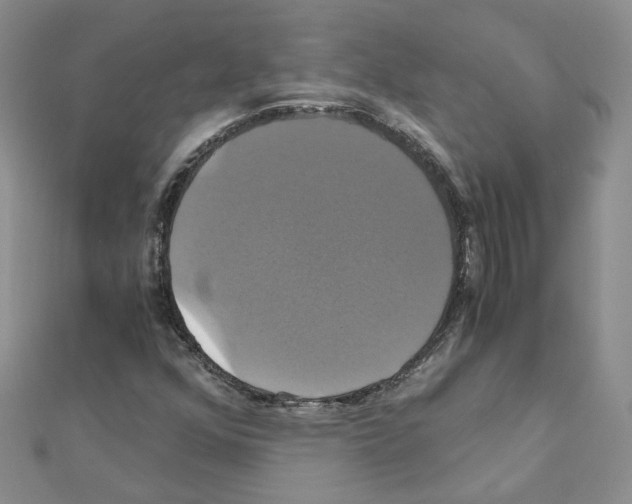 X0000110991352200907311001