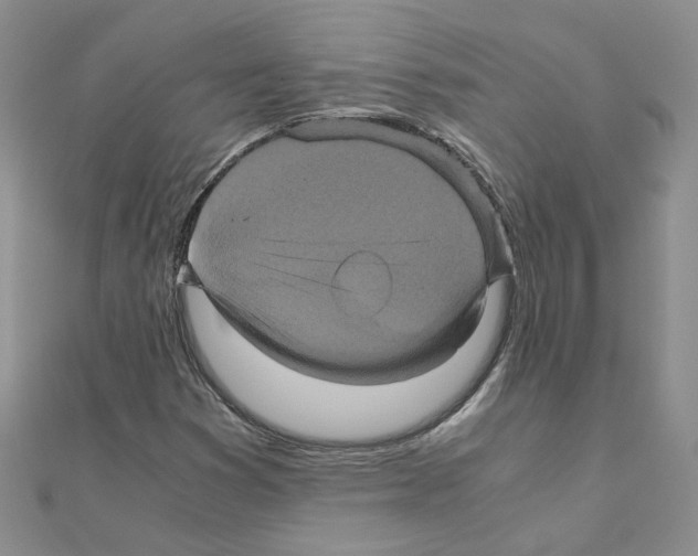 X0000110991353200907311001