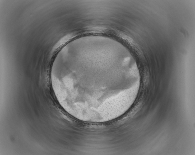 X0000110991354200907311001