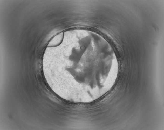 X0000110991355200907311001