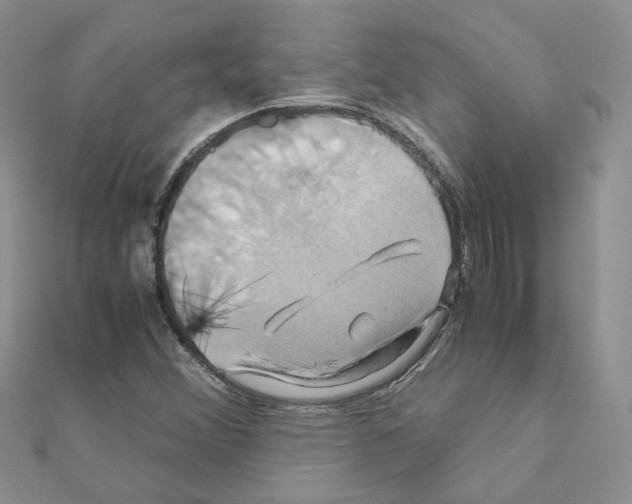 X0000110991356200907311001