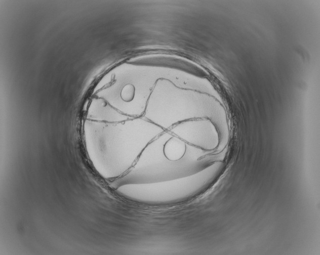 X0000110991357200907311001