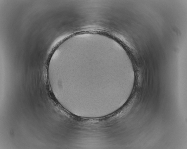 X0000110991358200907311001