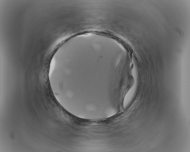 X0000110991359200907311001