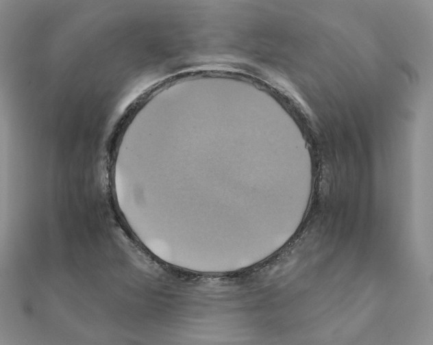 X0000110991360200907311001
