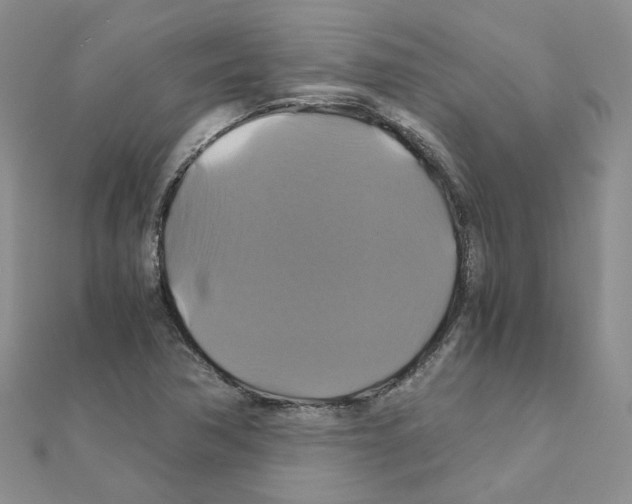 X0000110991362200907311001