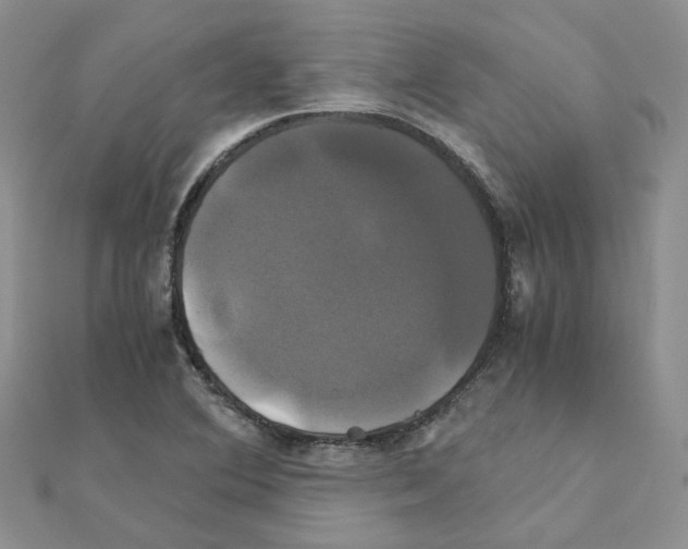 X0000110991364200907311001