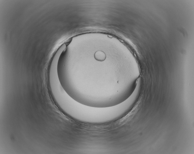 X0000110991365200907311001