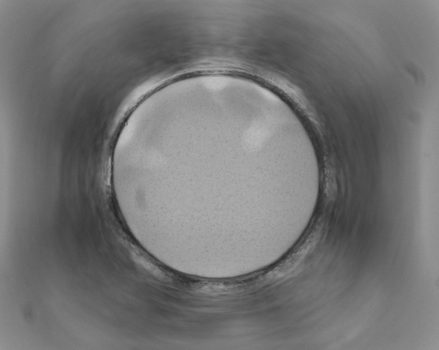X0000110991366200907311001