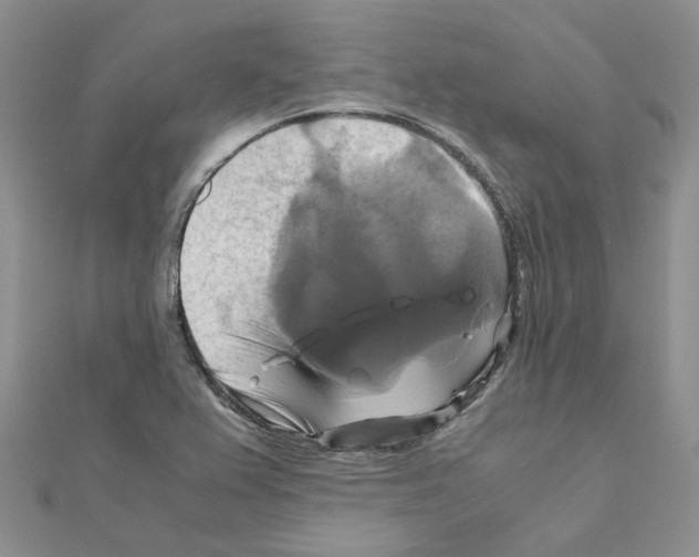 X0000110991367200907311001