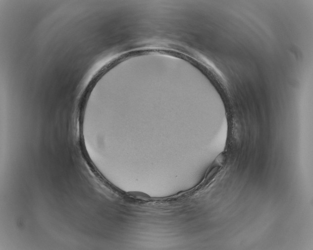 X0000110991368200907311001