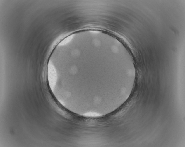 X0000110991371200907311001