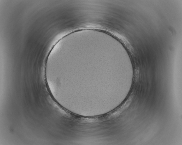 X0000110991374200907311001