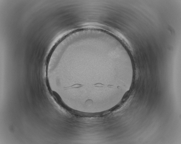 X0000110991376200907311001