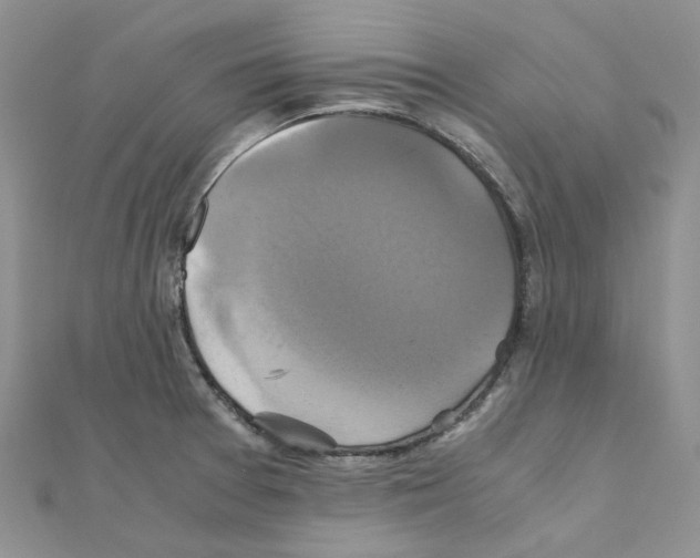 X0000110991377200907311001