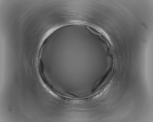 X0000110991381200907311001