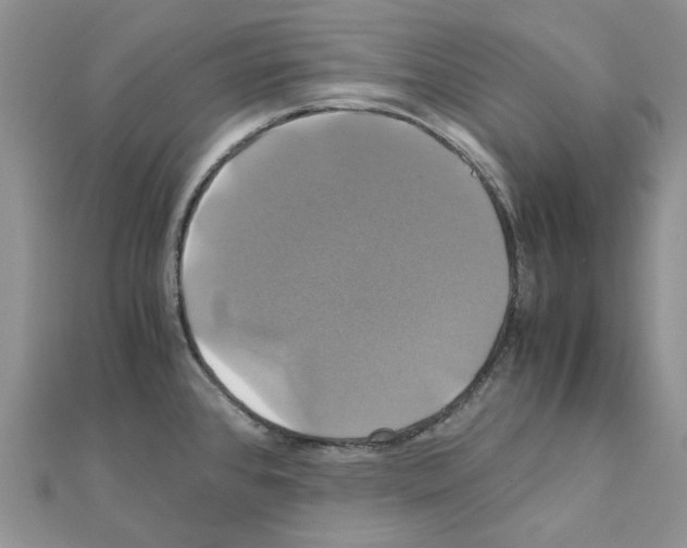 X0000110991384200907311001
