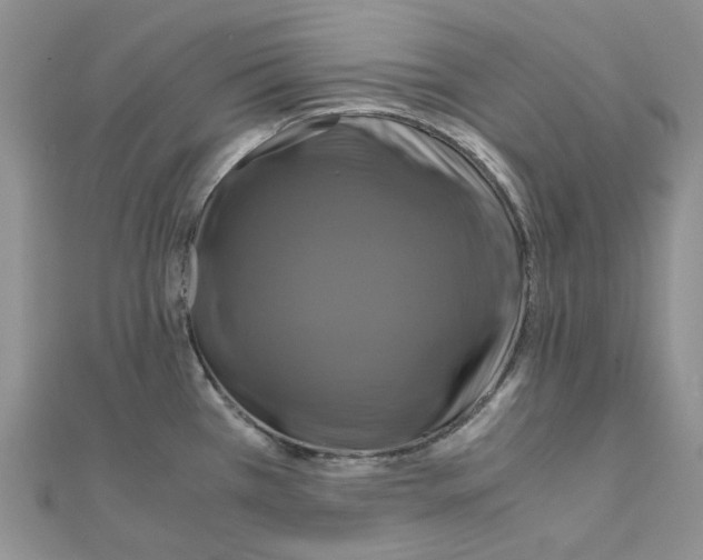 X0000110991385200907311001