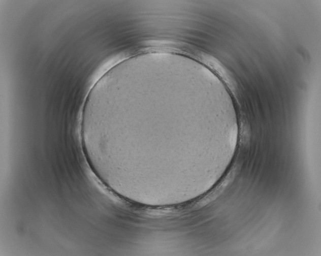 X0000110991386200907311001