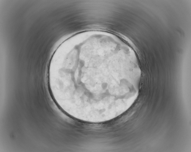 X0000110991387200907311001