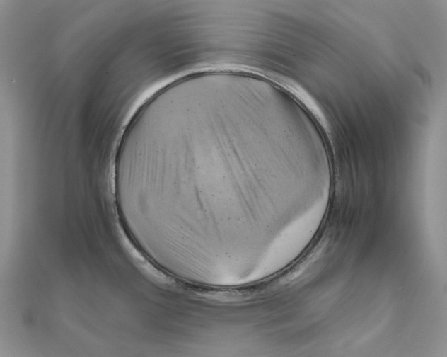 X0000110991388200907311001