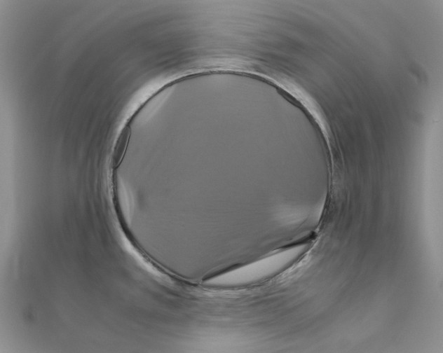 X0000110991389200907311001
