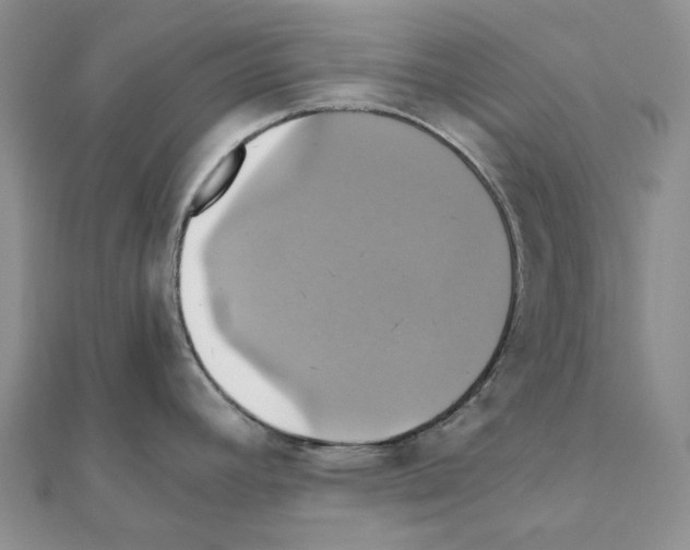 X0000110991392200907311001