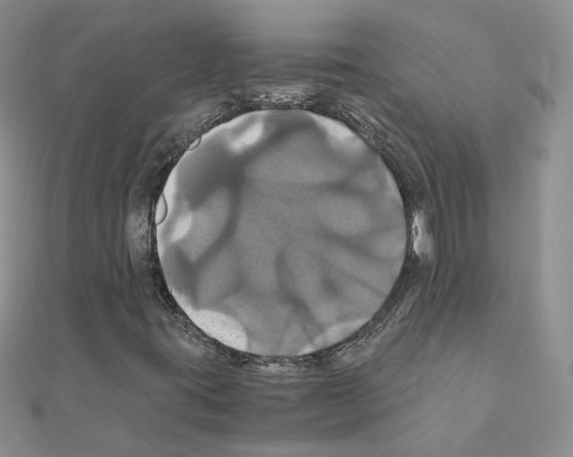 X0000110991395200907311000