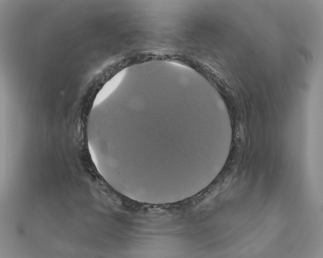 X0000110991398200907311000
