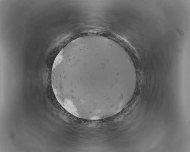 X0000110991399200907311000