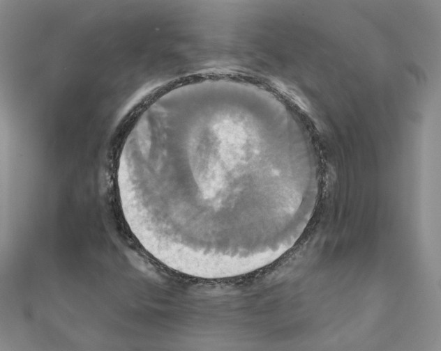 X0000110991400200907311000