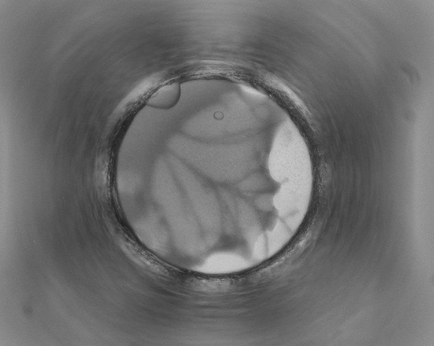 X0000110991403200907311000
