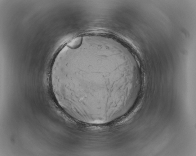 X0000110991405200907311000