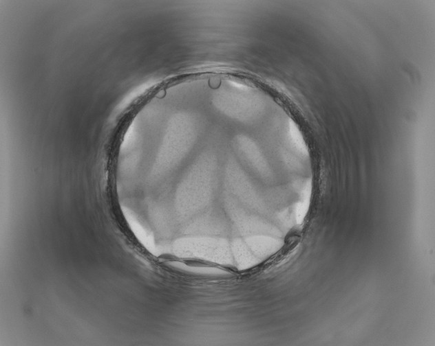 X0000110991406200907311000